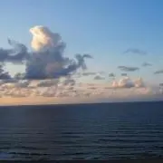 miiiの画像