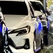 ペケの画像