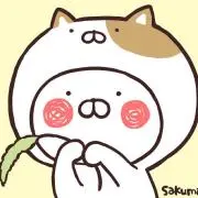 ぬこの画像