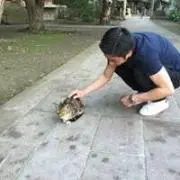 すず