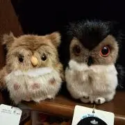 ピヨピヨの画像