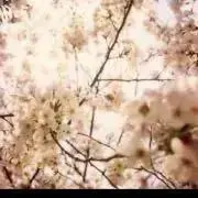 nkの画像