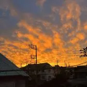 Kitazawaの画像