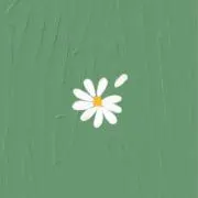 Yoの画像