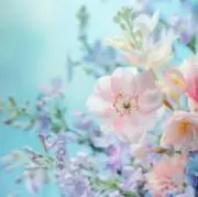 Perfumeの画像