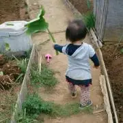 トリキチ