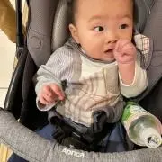 なーちゃんの画像