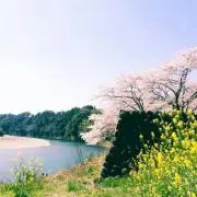 サトシ