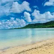とある石垣島のひろゆきの画像