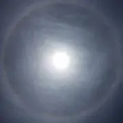 midlengsの画像