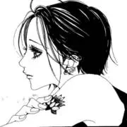 アボカドの画像