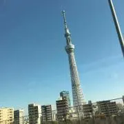 ぜぜの画像
