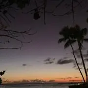 ムタの画像