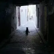 郁空の画像