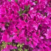 W⭐︎断捨離中です✳︎の画像