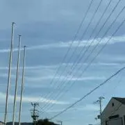 shiiiの画像