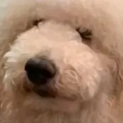 あう