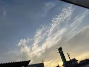 ハラペコの画像