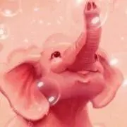 Yuutanの画像