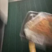 ヤマグチ犬の画像