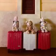 y_krの画像