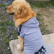 みーやんの画像