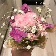 MALの画像