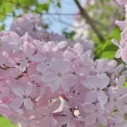 ききまる♡プロフCHKの画像