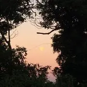 Scoreの画像