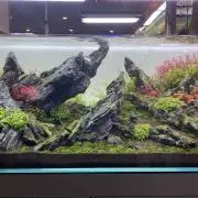 アクリルの画像