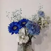 しずくの画像