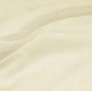 らんの画像