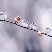 あーさんの画像