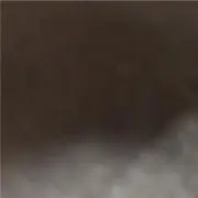 なやの画像
