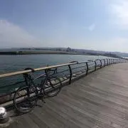 あさひなの画像