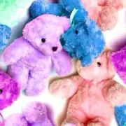 ガン！ちゃん♡の画像