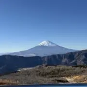 ドンキーコングの画像
