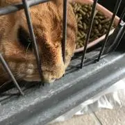 Kasumiの画像