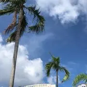 ALOHA'の画像