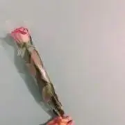 ちあ