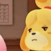 ちゃこの画像