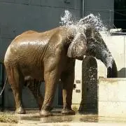 とも