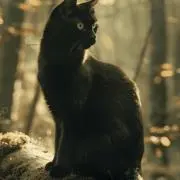 ごろうの画像
