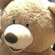 Cayalの画像