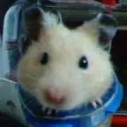みえりん