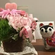 ハリーの画像