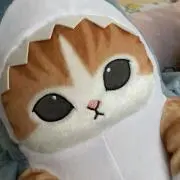 まろの画像
