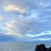 さかなびよりの画像