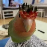 びーやん♡