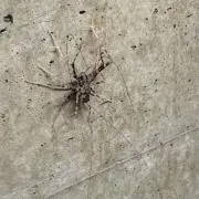 マルモリモリ